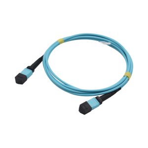 MPO/MTP Multimode Patch Cables